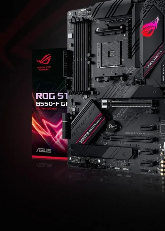 Cat Motherboard11