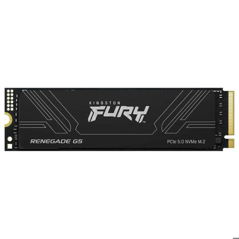 Kingston FURY Renegade G5 1 To